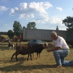 Doc giving wellness advice to a couple of the goats.