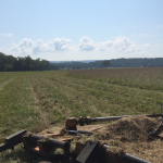 Back pasture looking east.  The old store which serves as our office/home is the tiny speck about 1/2 mile away.