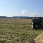 Back pasture looking south with John's Mountian in the background