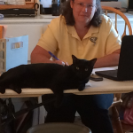 Deborah with Bear at the front desk before the restored counter was finished.  Bear is head of Public Relations but will excuse himself for anyone who does not like cats (haven't found any yet).