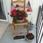 4th of July with the old potty chair